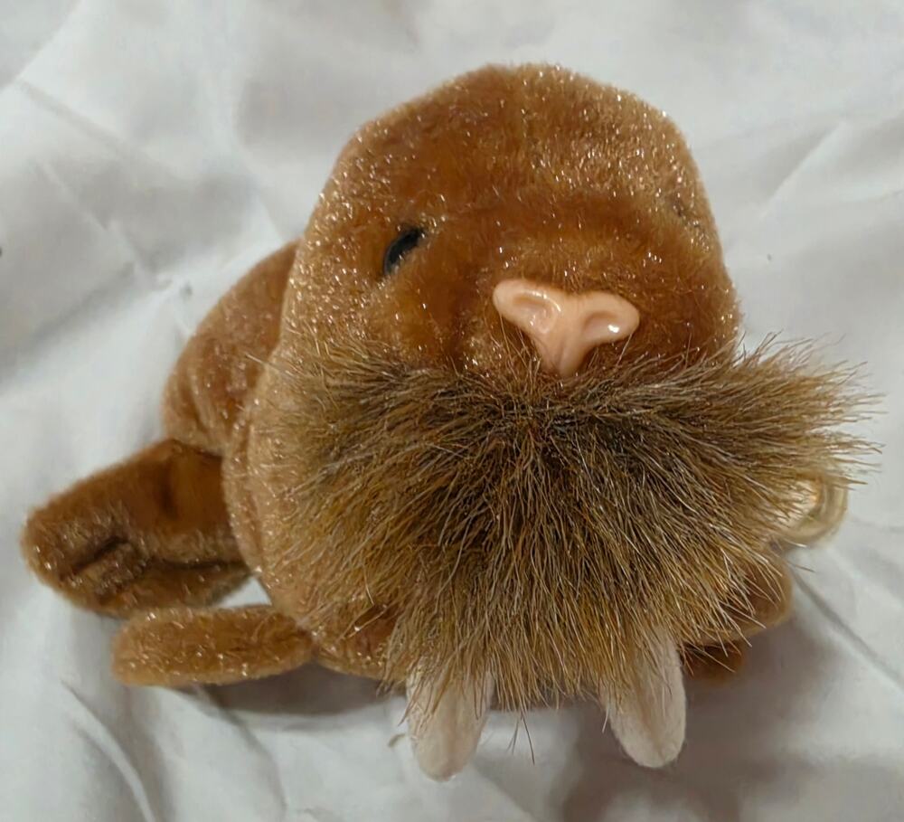 Ty Beanie Baby - Paul the Walrus (1999 Retired)